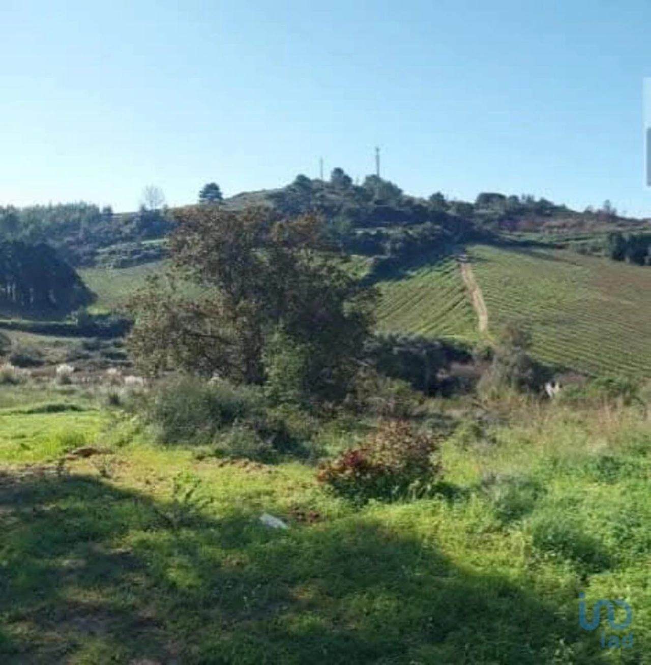 Terreno para Venda em Turcifal Foto 4