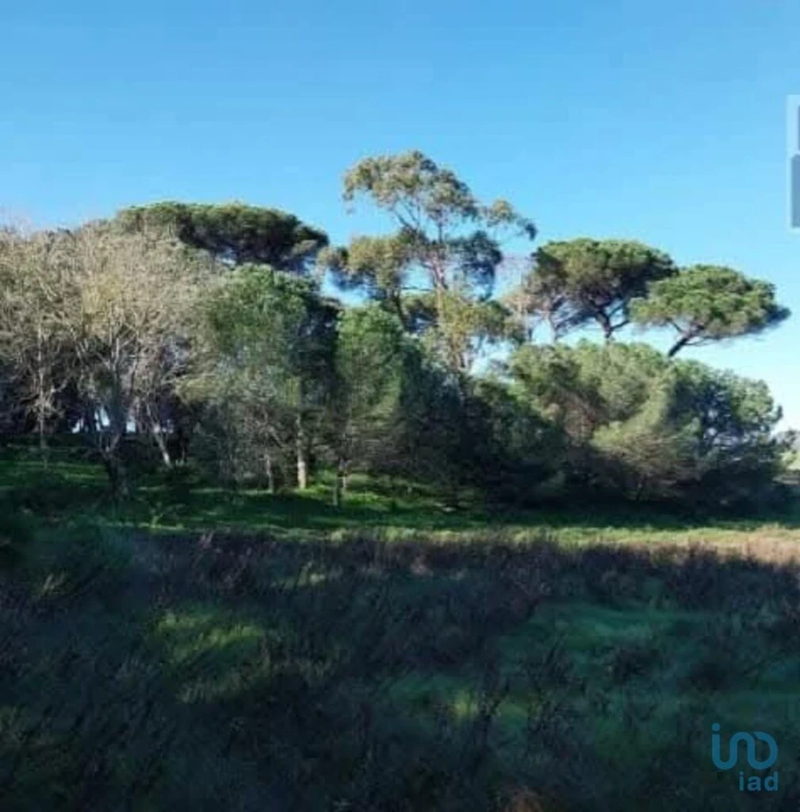 Terreno para Venda em Turcifal Foto 10