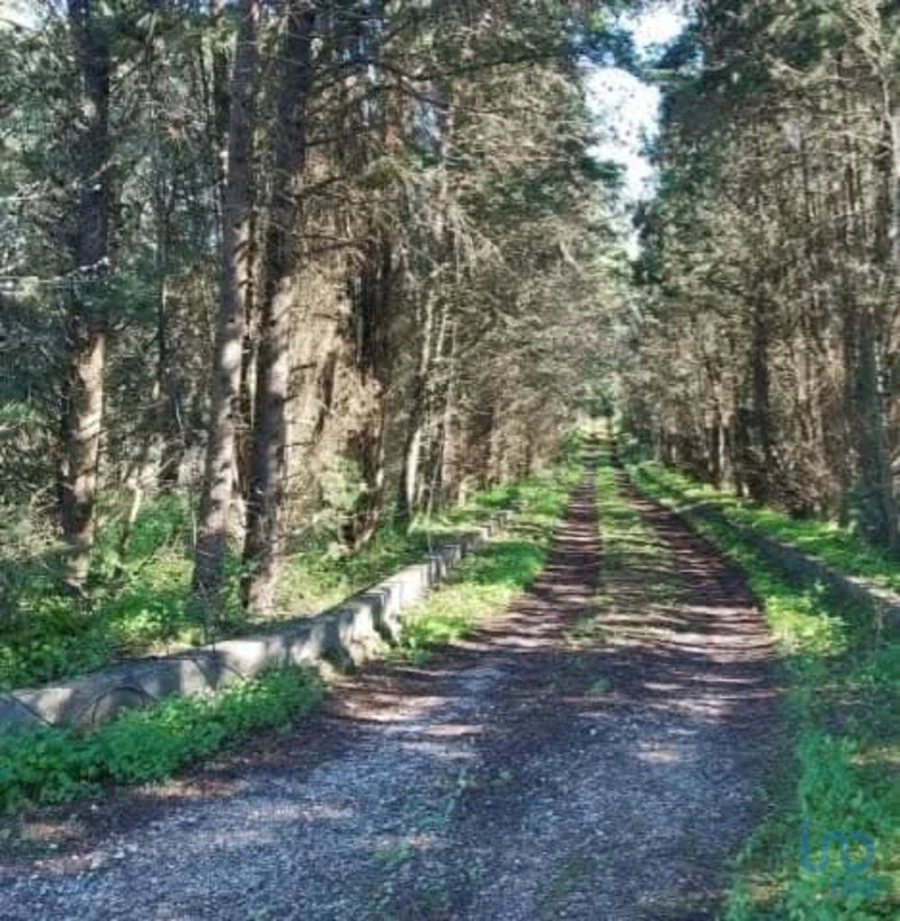 Terreno para Venda em Turcifal Foto 7