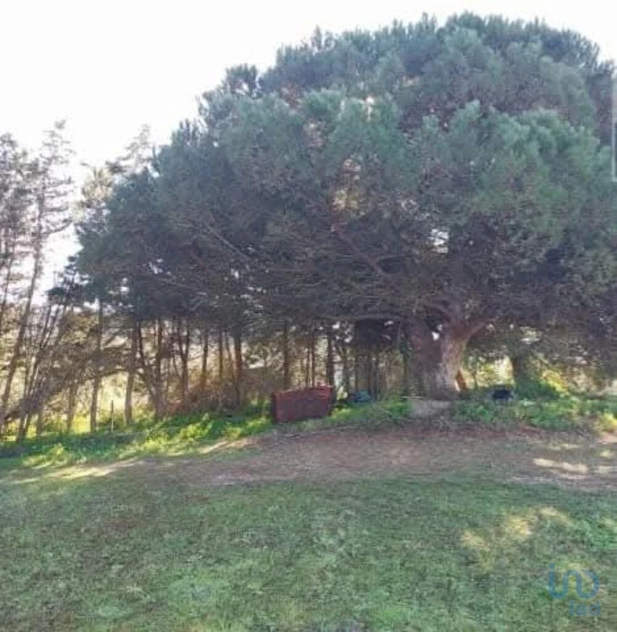 Terreno para Venda em Turcifal Foto 2