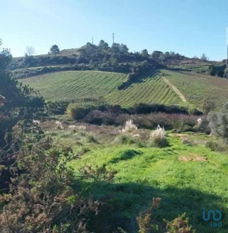 Terreno para Venda em Turcifal Foto 3