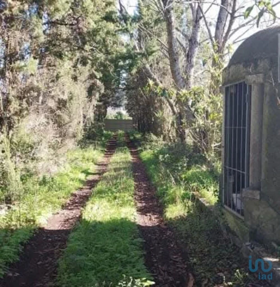 Terreno para Venda em Turcifal Foto 5