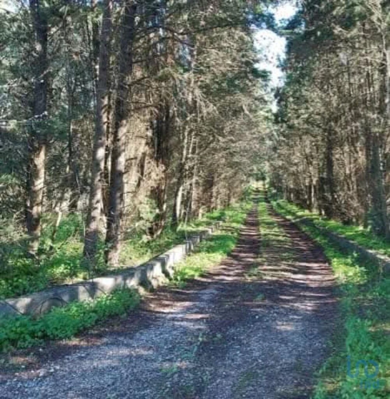 Terreno para Venda em Turcifal Foto 7