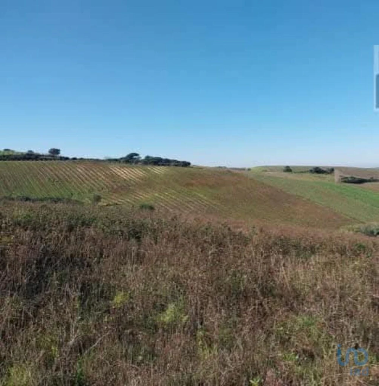 Terreno para Venda em Turcifal Foto 9