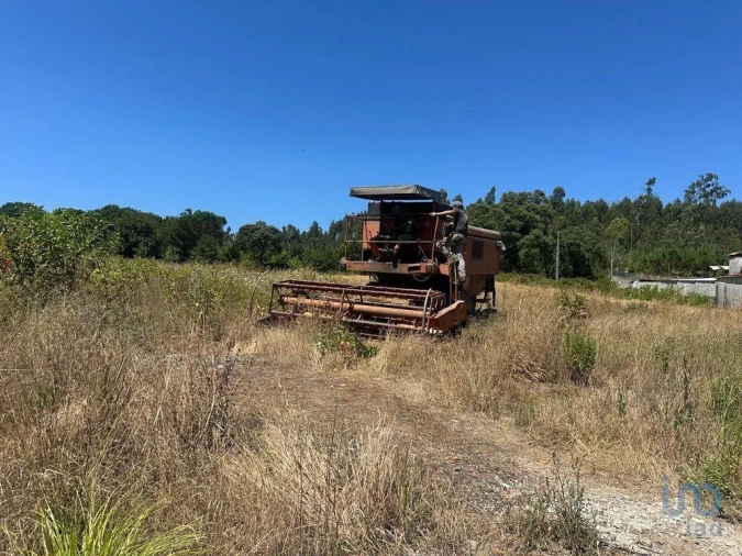 Terreno para Venda em Glória e Vera Cruz Foto 2