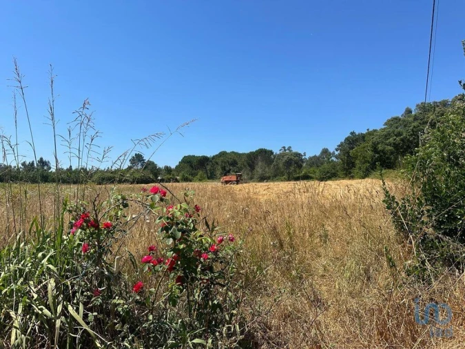 Terreno para Venda em Glória e Vera Cruz Foto 1