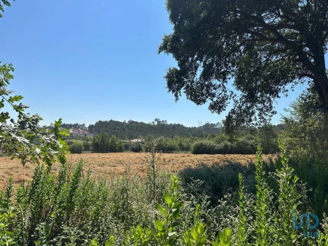 Terreno para Venda em Glória e Vera Cruz Foto 3