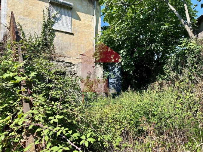 Moradia T4 para Venda em Chorense e Monte Foto 20