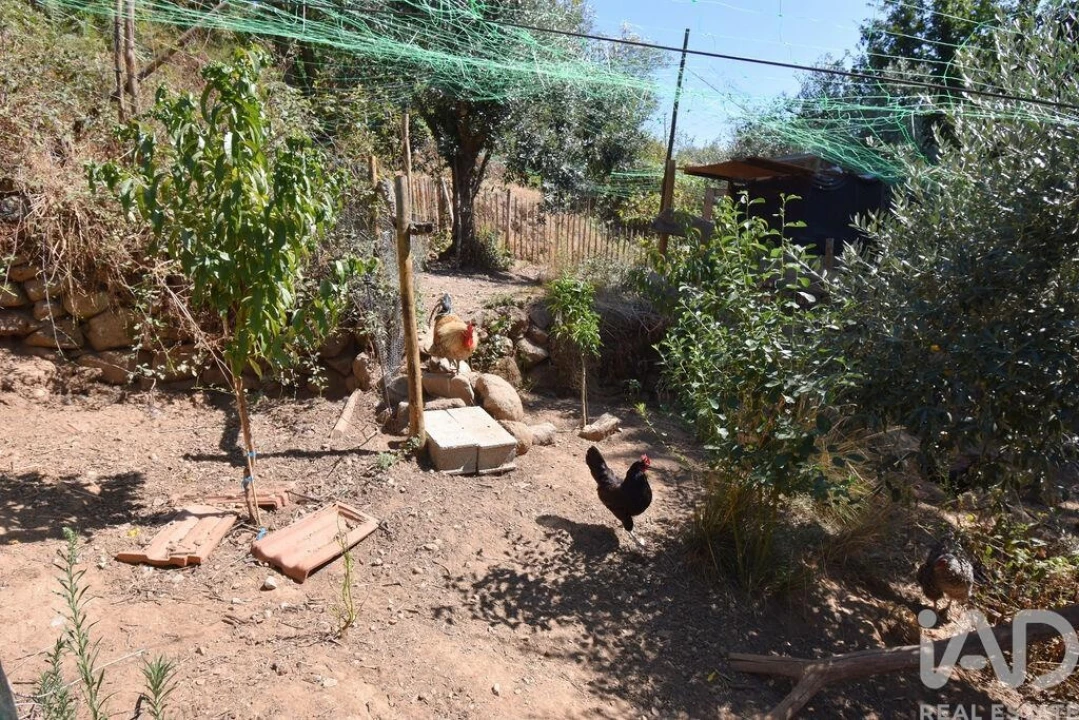 Moradia T1 para Venda em São Miguel, Santa Eufémia e Rabaçal Foto 23