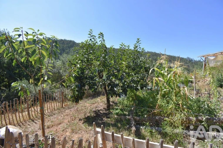 Moradia T1 para Venda em São Miguel, Santa Eufémia e Rabaçal Foto 24