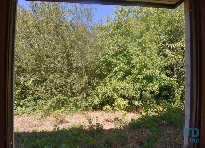 Moradia T1 para Venda em São Miguel, Santa Eufémia e Rabaçal Foto 10