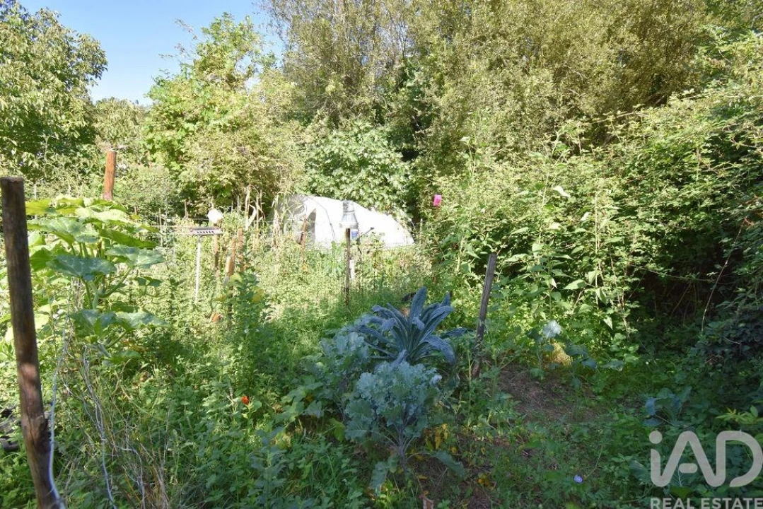 Moradia T1 para Venda em São Miguel, Santa Eufémia e Rabaçal Foto 29