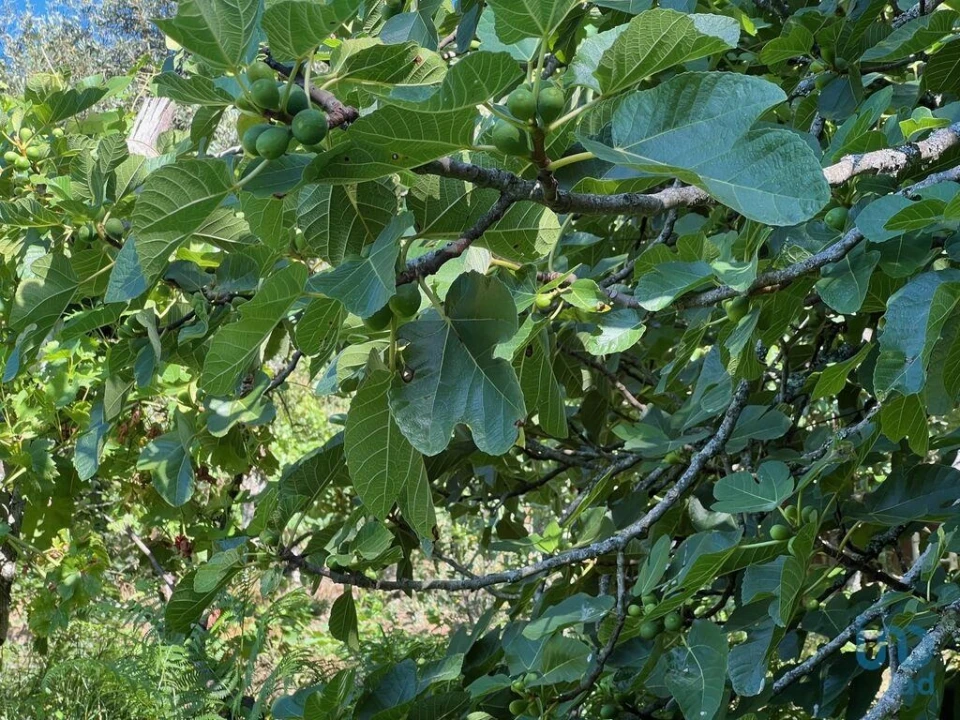 Moradia T2 para Venda em Valadares Foto 11