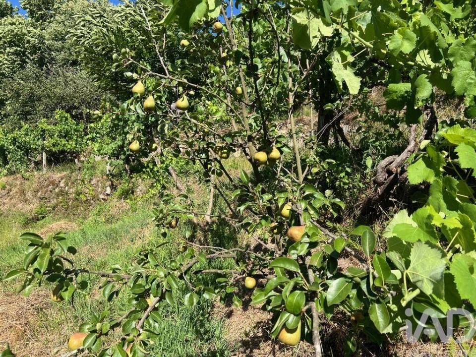 Moradia T2 para Venda em Valadares Foto 17