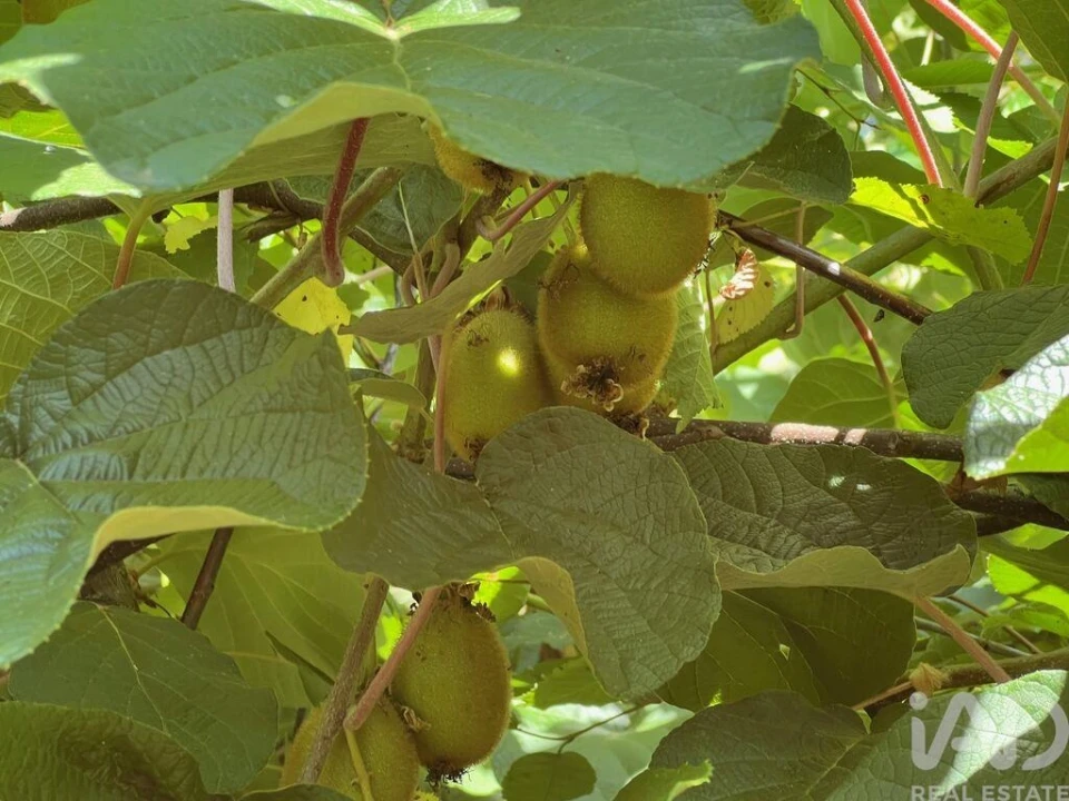 Moradia T2 para Venda em Valadares Foto 18