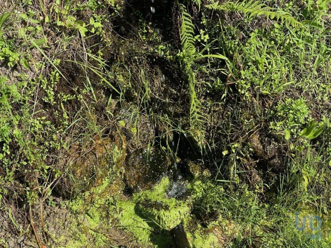 Moradia T2 para Venda em Valadares Foto 13