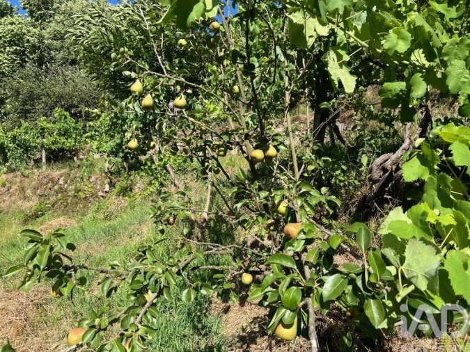 Moradia T2 para Venda em Valadares Foto 17