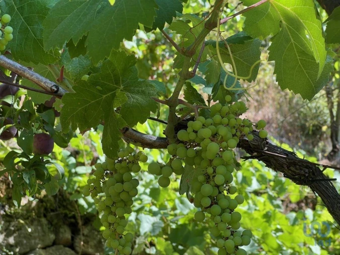 Moradia T2 para Venda em Valadares Foto 7