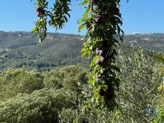 Moradia T2 para Venda em Valadares Foto 6