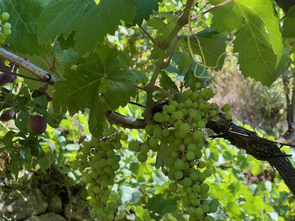 Moradia T2 para Venda em Valadares Foto 7