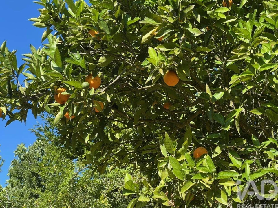 Moradia T2 para Venda em Valadares Foto 16