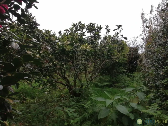 Moradia T2 para Venda em Ribeirinha Foto 14