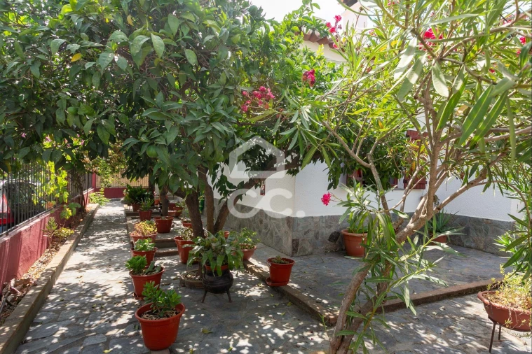 Moradia T5 para Venda em Mourão Foto 24