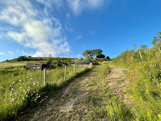 Terreno para Venda em Enxara do Bispo, Gradil e Vila Franca do Rosário Foto 36