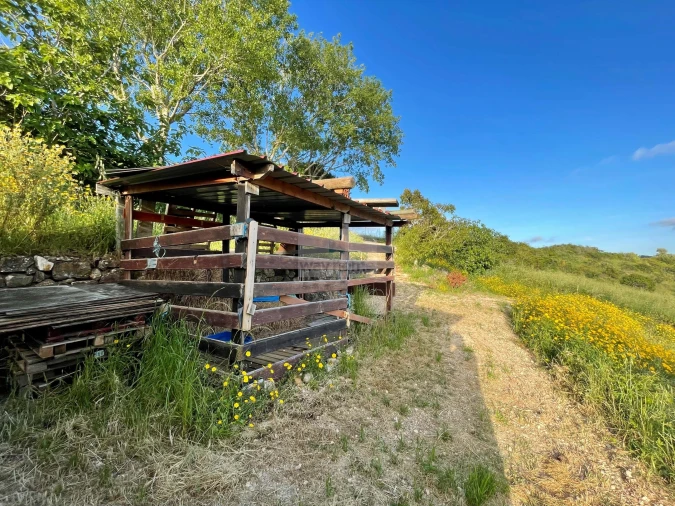 Terreno para Venda em Enxara do Bispo, Gradil e Vila Franca do Rosário Foto 37