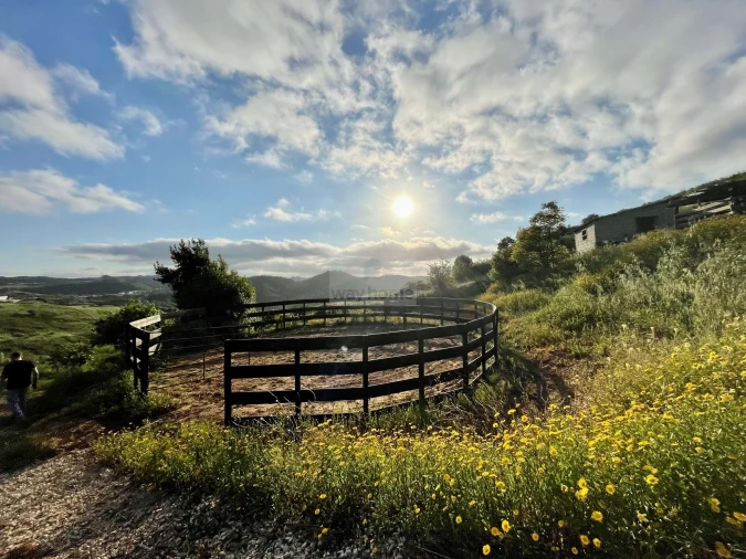 Terreno para Venda em Enxara do Bispo, Gradil e Vila Franca do Rosário Foto 34