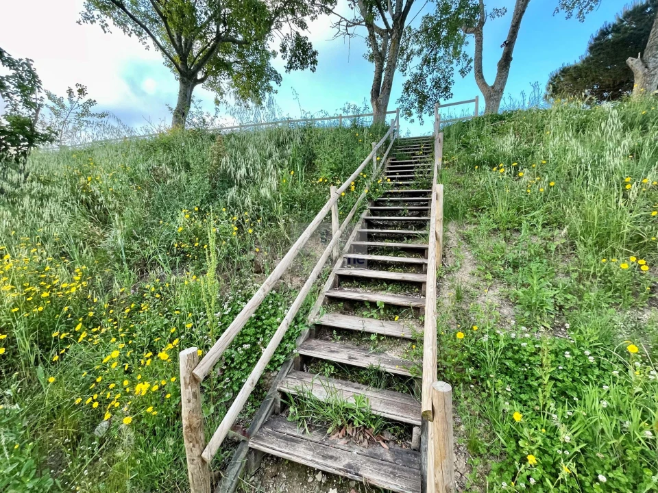 Terreno para Venda em Enxara do Bispo, Gradil e Vila Franca do Rosário Foto 42