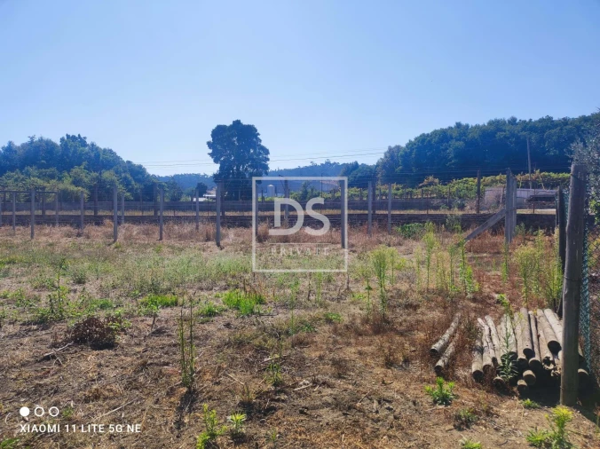 Terreno para Venda em Ossela Foto 2