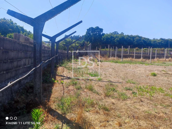 Terreno para Venda em Ossela Foto 6