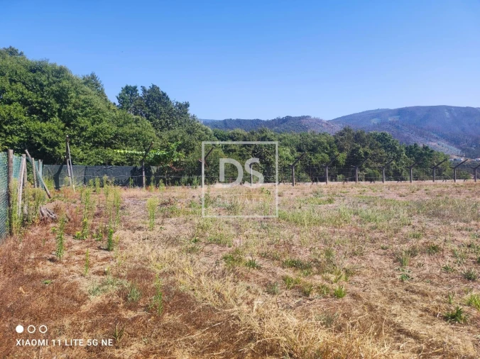 Terreno para Venda em Ossela Foto 5