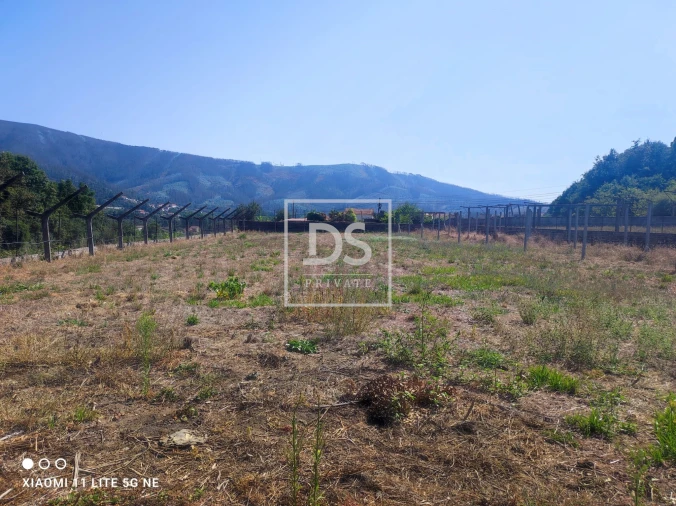 Terreno para Venda em Ossela Foto 3