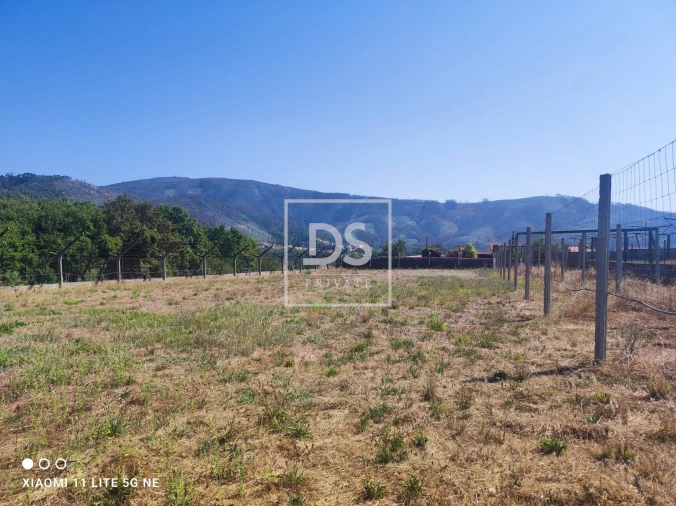 Terreno para Venda em Ossela Foto 8