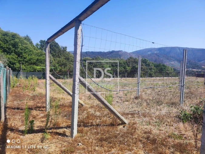 Terreno para Venda em Ossela Foto 9
