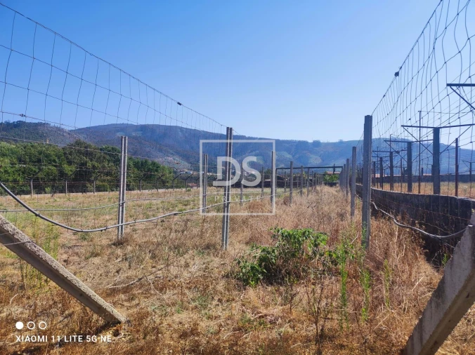 Terreno para Venda em Ossela Foto 10