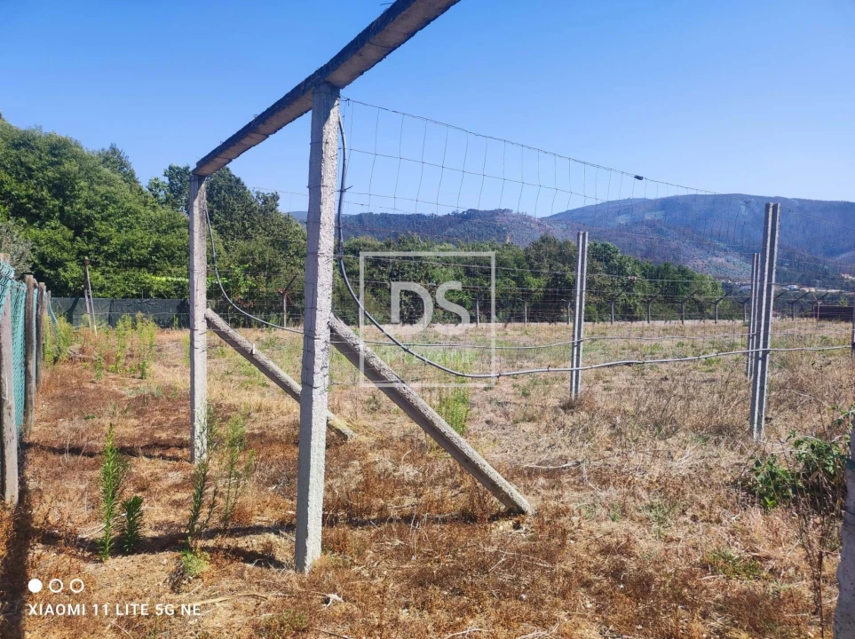 Terreno para Venda em Ossela Foto 9