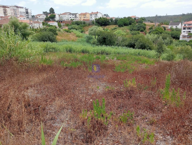 Terreno para Venda em Leiria, Pousos, Barreira e Cortes Foto 4