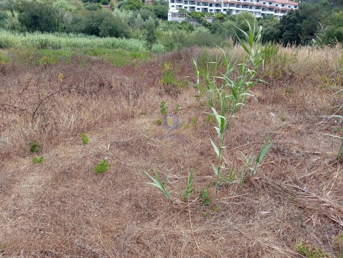 Terreno para Venda em Leiria, Pousos, Barreira e Cortes Foto 3