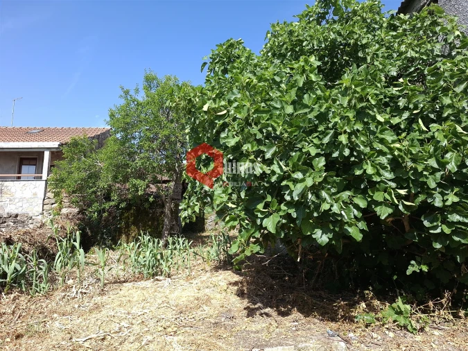 Moradia T1 para Venda em Baraçal Foto 40