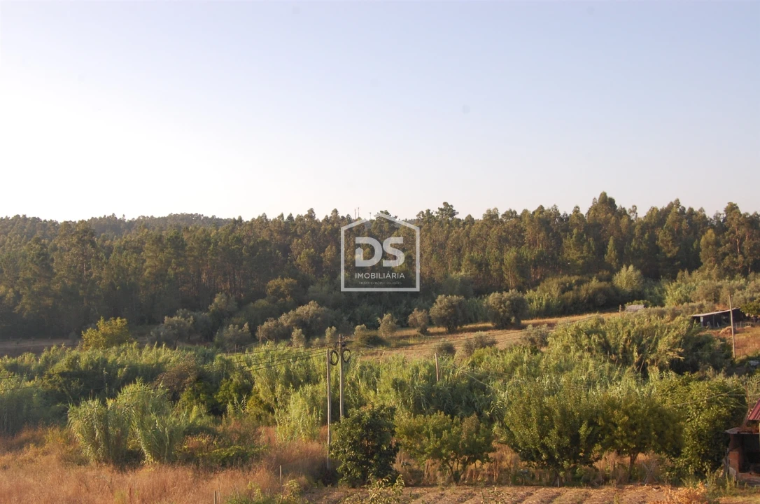 Apartamento T2 para Venda em Soure Foto 18