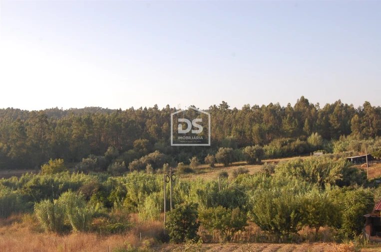 Apartamento T2 para Venda em Soure Foto 18