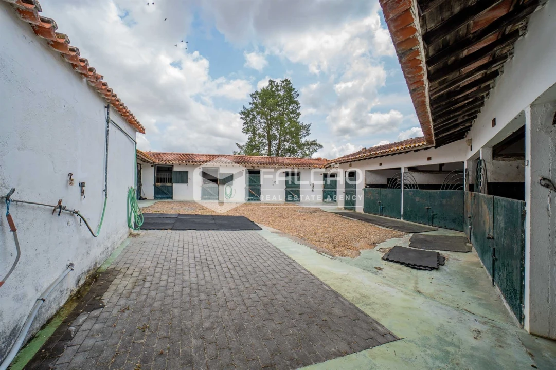 Quinta T6 para Venda em Romeira e Várzea Foto 95