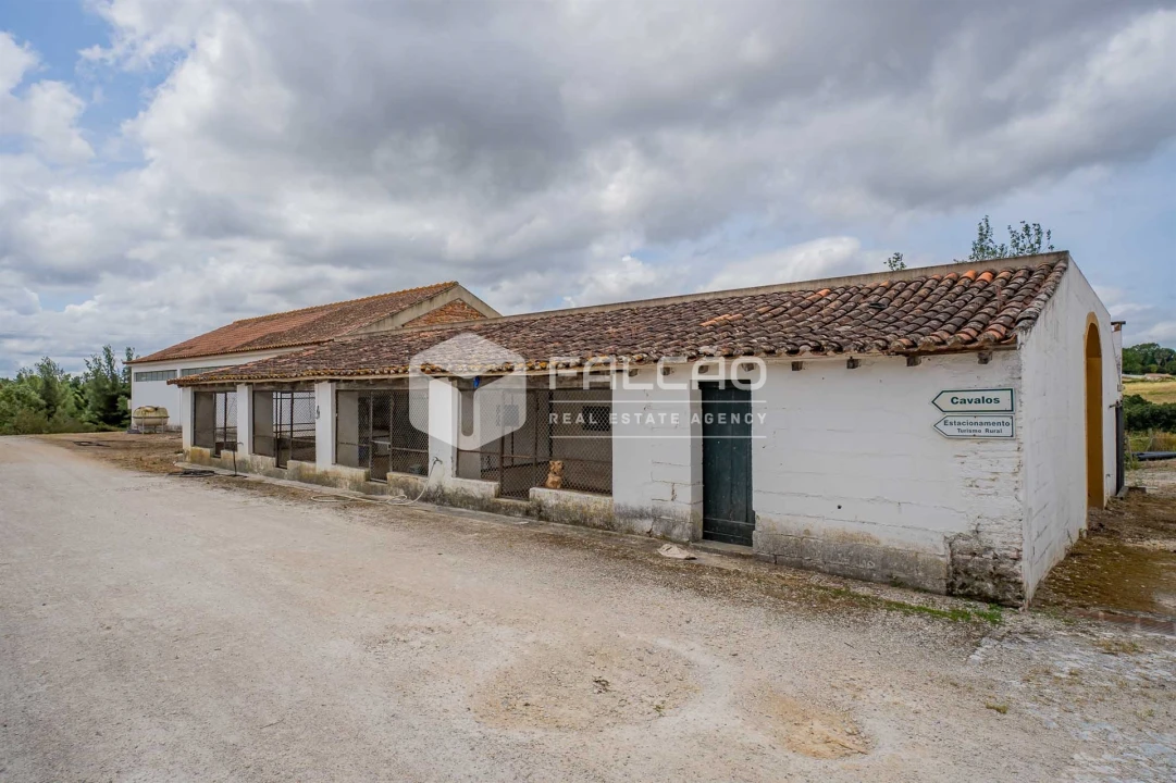 Quinta T6 para Venda em Romeira e Várzea Foto 98