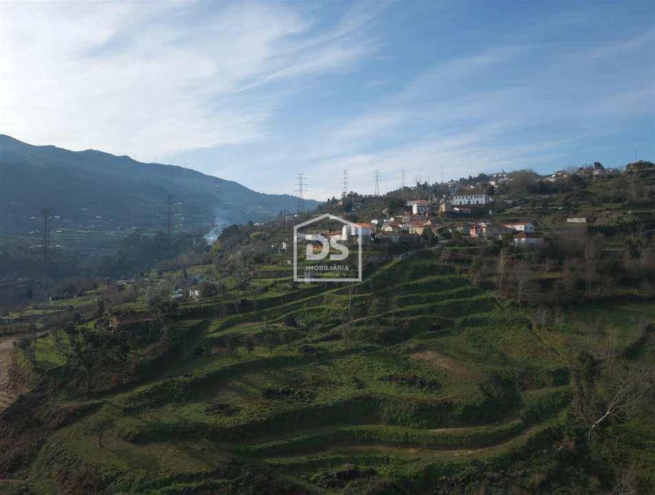 Quinta T0 para Venda em Santiago de Piães Foto 16