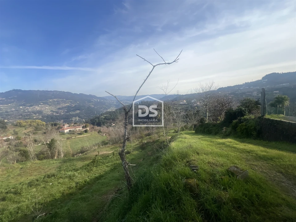 Quinta T0 para Venda em Santiago de Piães Foto 5