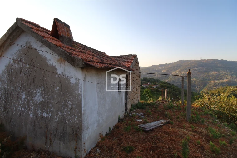 Quinta T0 para Venda em Santiago de Piães Foto 4