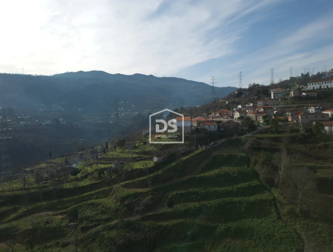 Quinta T0 para Venda em Santiago de Piães Foto 10